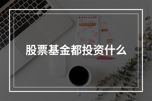 股票基金都投资什么