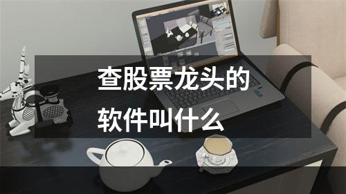 查股票龙头的软件叫什么