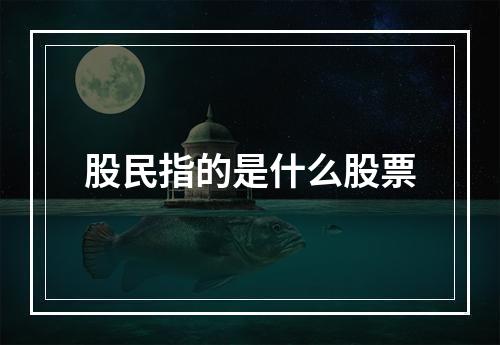 股民指的是什么股票