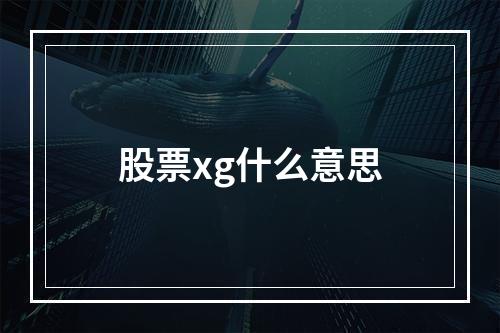 股票xg什么意思