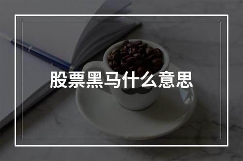 股票黑马什么意思