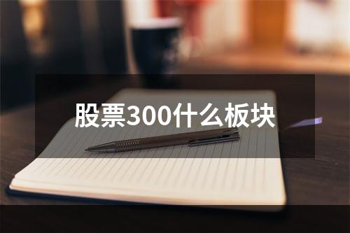 股票300什么板块