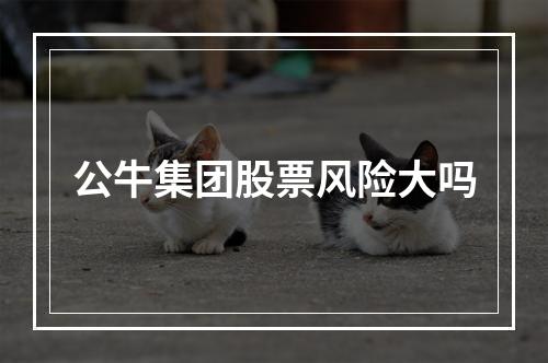 公牛集团股票风险大吗