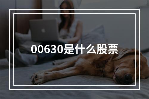 00630是什么股票