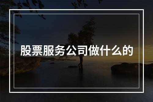 股票服务公司做什么的