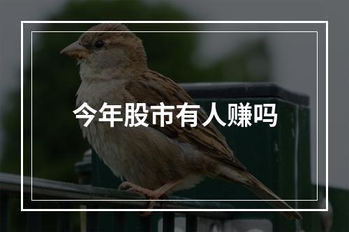 今年股市有人赚吗