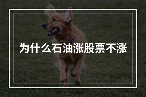 为什么石油涨股票不涨