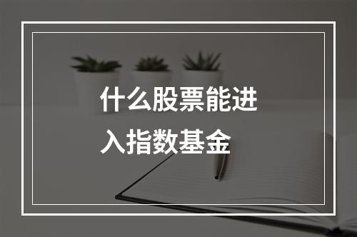 什么股票能进入指数基金