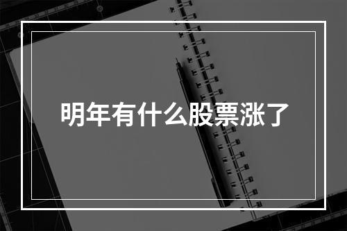 明年有什么股票涨了