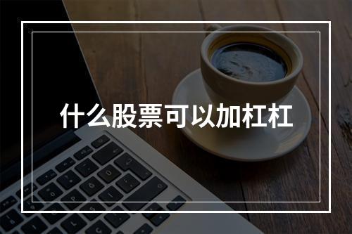 什么股票可以加杠杠