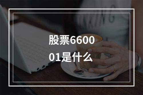 股票660001是什么