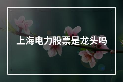 上海电力股票是龙头吗