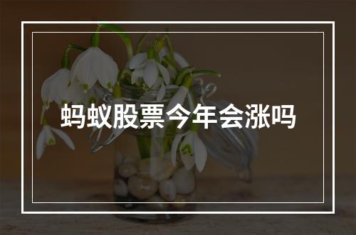 蚂蚁股票今年会涨吗