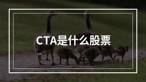 CTA是什么股票