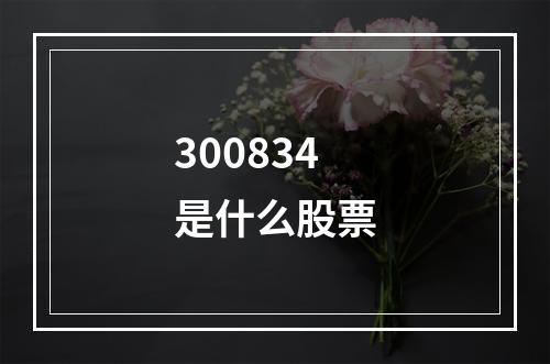 300834是什么股票