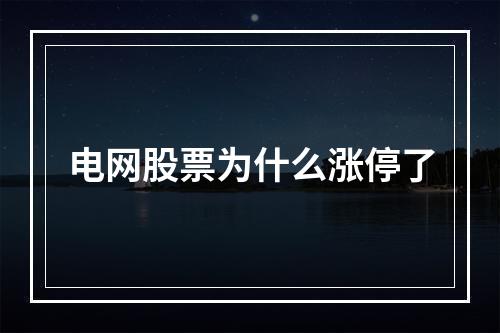 电网股票为什么涨停了