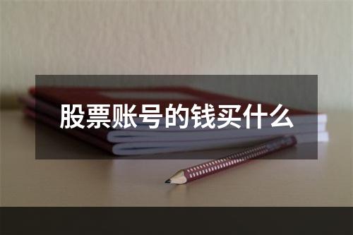 股票账号的钱买什么