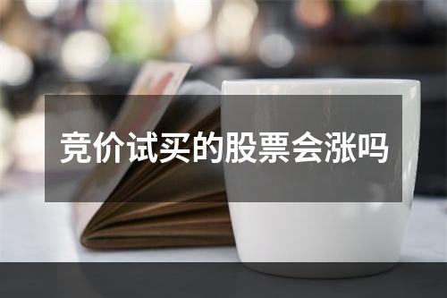 竞价试买的股票会涨吗