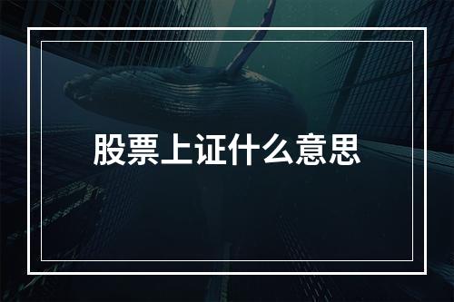 股票上证什么意思