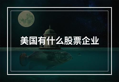 美国有什么股票企业