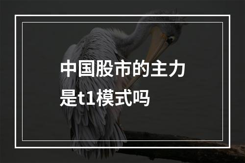 中国股市的主力是t1模式吗