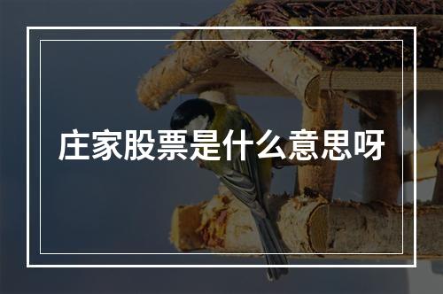 庄家股票是什么意思呀